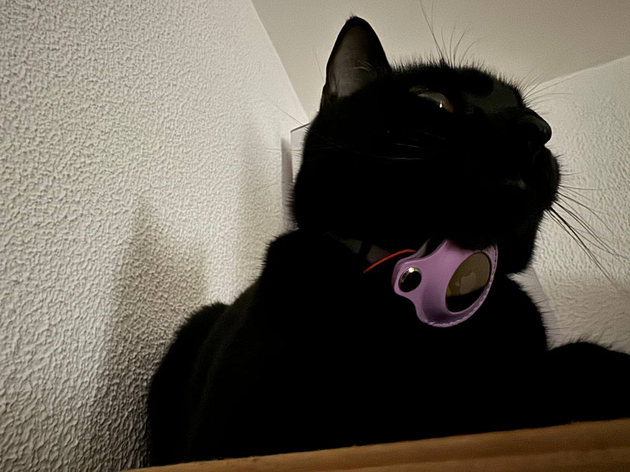 Доступные технологии отслеживания местоположения