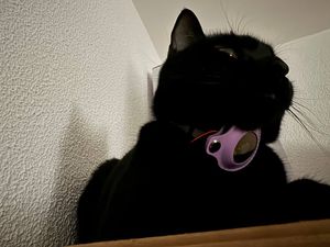 Доступные технологии отслеживания местоположения